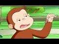Curious George 🐵George Digs Worms 🐵Kids Cartoon 🐵Kids Movies 🐵Videos for Kids
