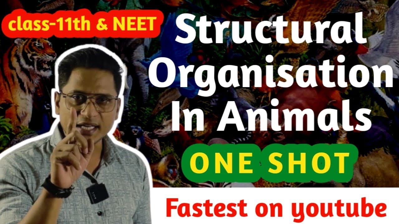 Structural Organisation in Animal | one shot | class 11th ncert ...