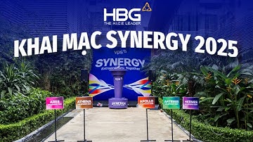 VPS Sport Day SYNERGY 2025 | HoaBinh Event Group