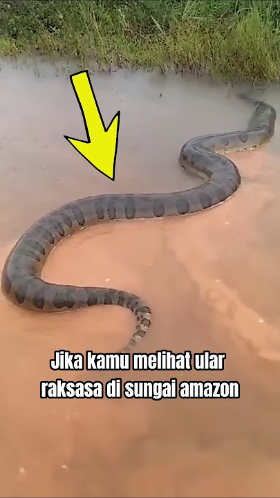 JANGAN LIBURAN KESINI