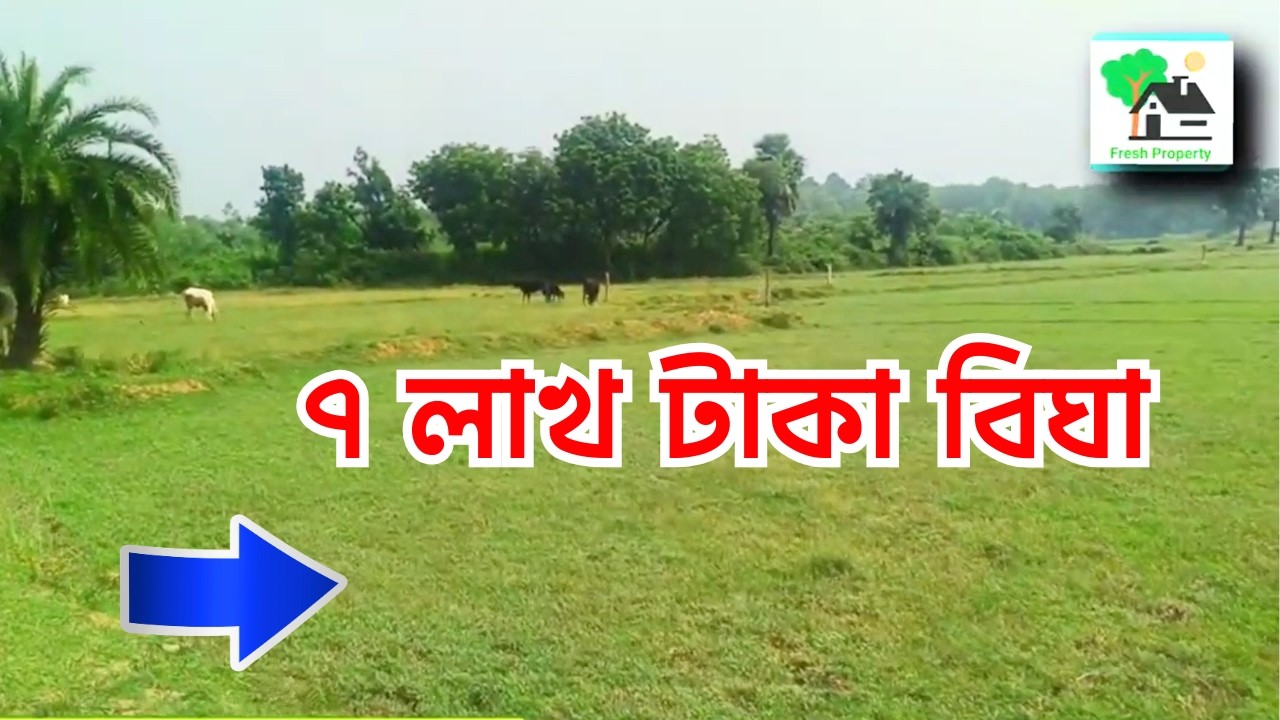 Fp - 1436 | ৭ লাখ টাকা বিঘা | ৫ বিঘা জমি | 9073 145 145