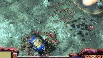 Starcraft 2 - Custom Race Neo Zerg tech demo 24