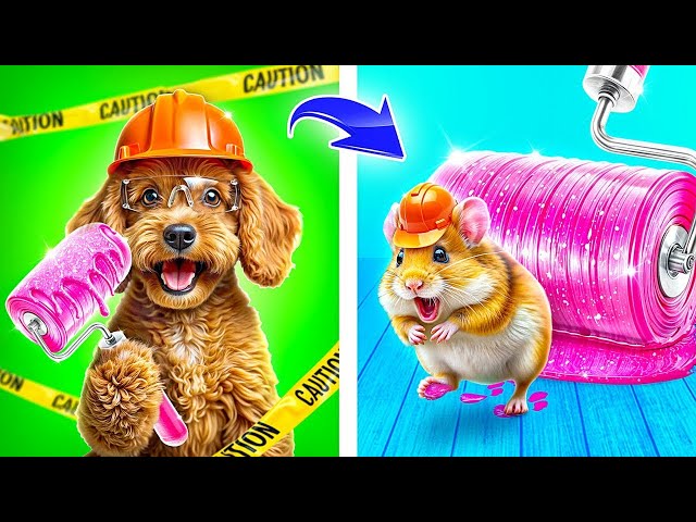 大きな家（いえ）VSちっちゃな家！ペットのひみつのお部屋（へや）をつくったよ！