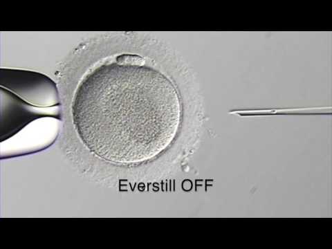 Everstill App Note