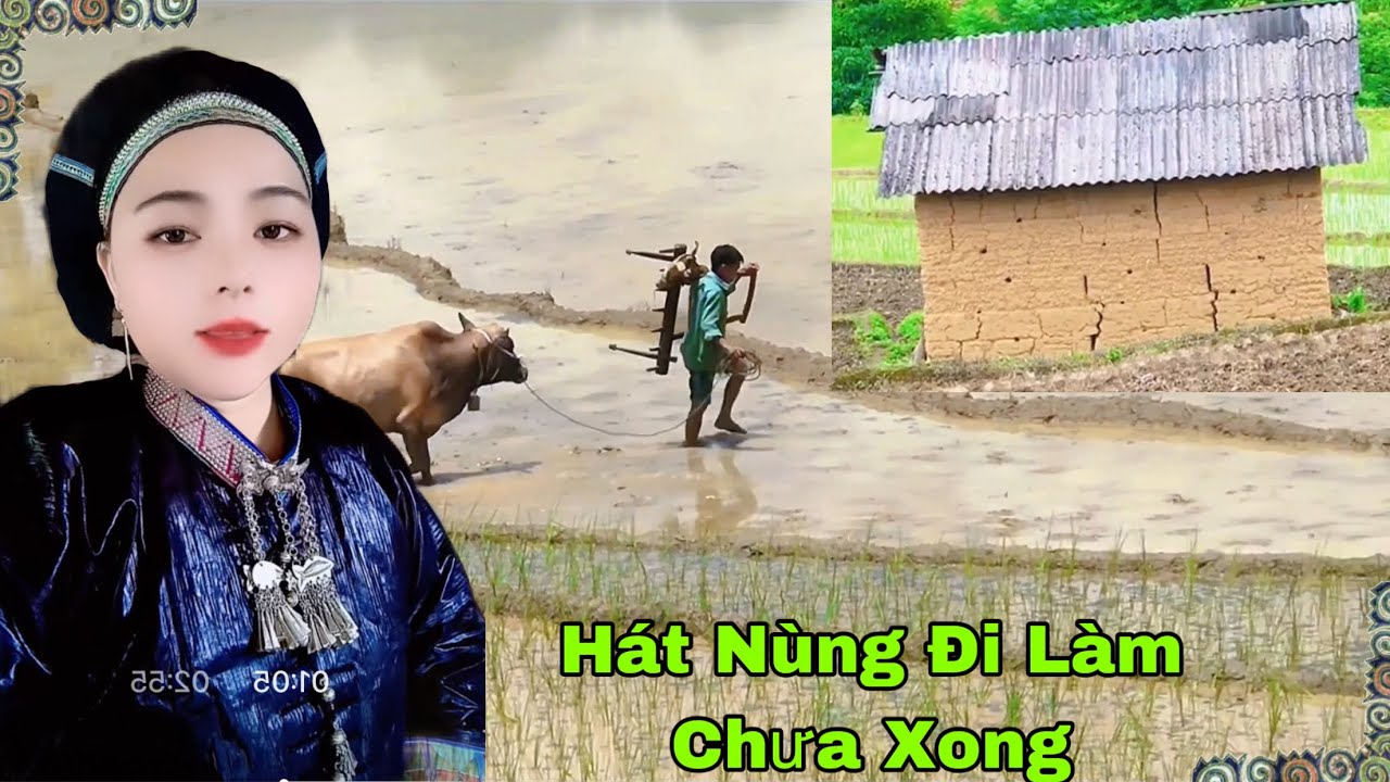 Hát nùng tổng hập đi làm hát vui chơi tiktok p2