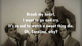 Caroline, No  THE BEACH BOYS  (with lyrics)