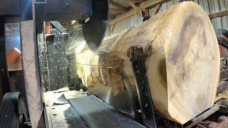 Saw-Milling the Good, the Bad, and the Ugly Poplar! No Talking! #5