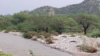 Download Lagu Kot solankiyan ki nadi MP3