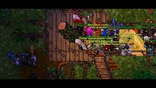 [TIBIA] [ KENORA Highlight ] They thought action was finish XD vol. 3