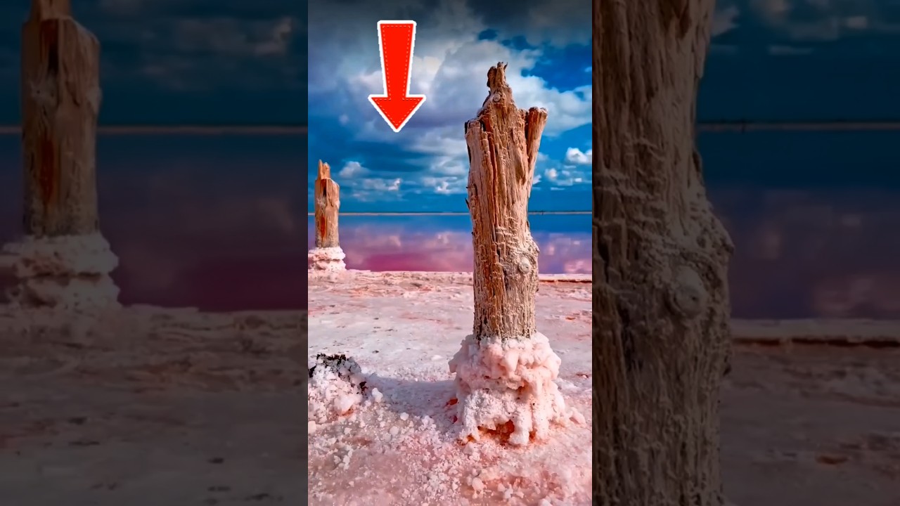 Esse LAGO Transforma os ANIMAIS em PEDRA!🦅🪨.            #curiosidades #shortsvideo #geography
