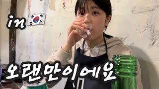 한국어 못하는 일본인 한국에서 소주 마시기/久しぶりに韓国でソジュをいただく