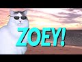 Happy birt.ay zoey  epic cat happy birt.ay song