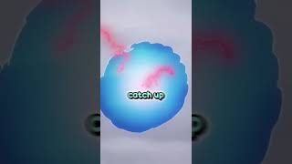 One Piece Era Is Over