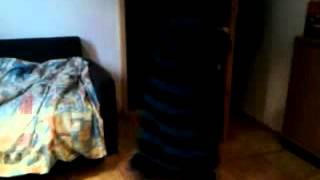 Boxer Singt Gangnam Style