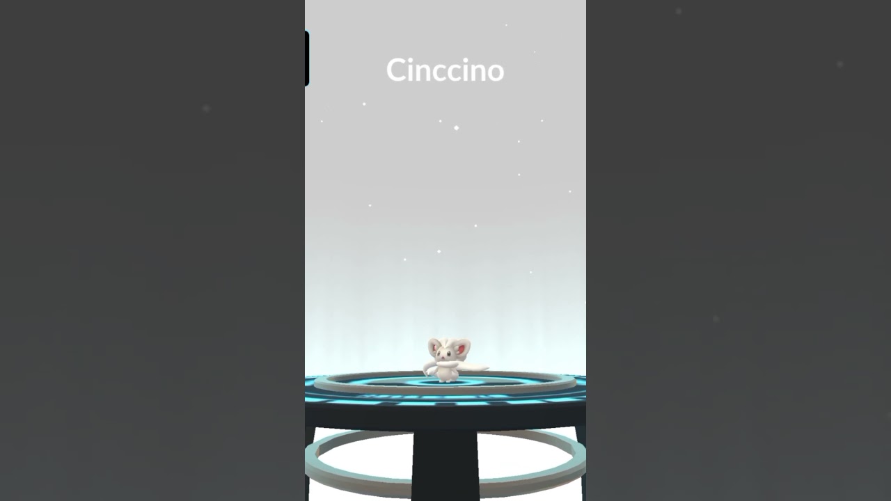 Evolve 3 Star Minccino to Cinccino And Use Unova Stone 👍