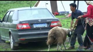 Download Lagu Mangra County མང་རྫོང་། 贵南县 Part One MP3