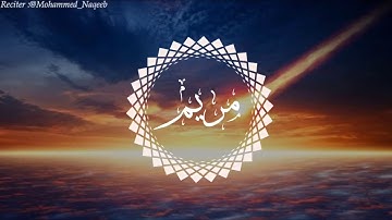 القارئ محمد النقيب سورة مريم كاملة للقارئ محمد النقيب
