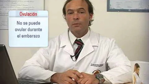 ¿Se puede ovular y estar embarazada al mismo tiempo?