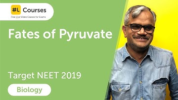 Fates of pyruvate | Respiration in Plants | Biology | Target NEET 2019 | Day 141