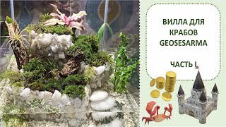 Вилла для крабов geosesarma ЧАСТЬ 1 || Оформление крабариума || GEOSESARMA PALUDARIUM