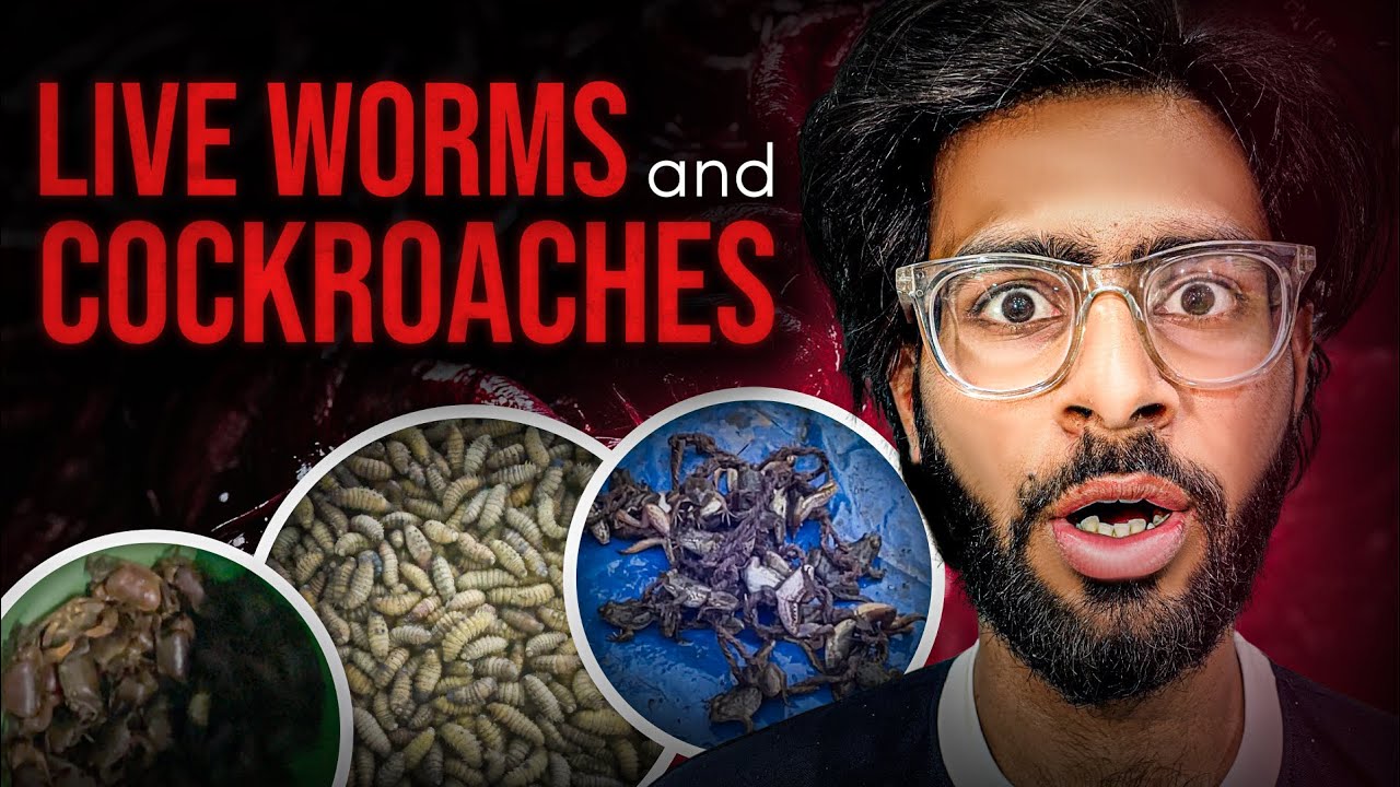 They are selling live silkworms, cockroaches and Pigeons | Northeast India | Vlog 1