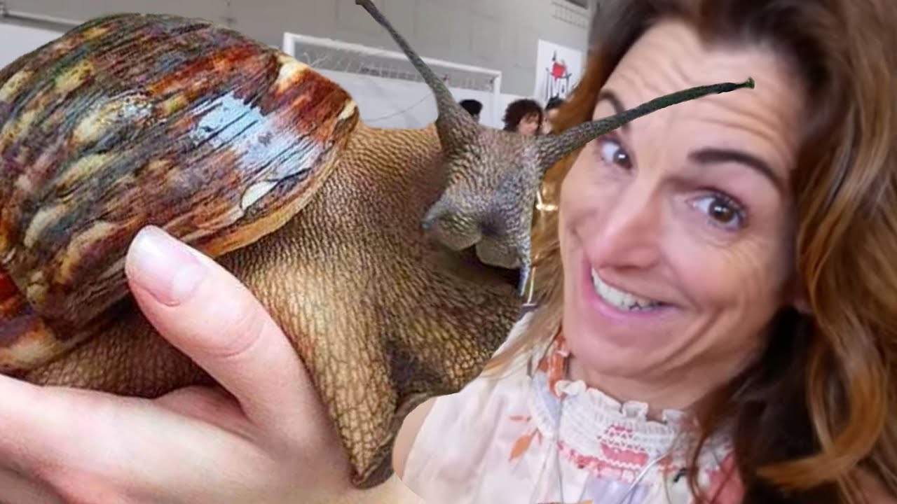 vlogs in spanish LARGEST SNAIL IN THE WORLD!! ITALIAN REPTILE SHOW!! | BRIAN BARCZYK