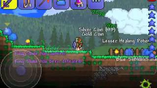 Terraria : boss battle (6)  double king slime screenshot 5