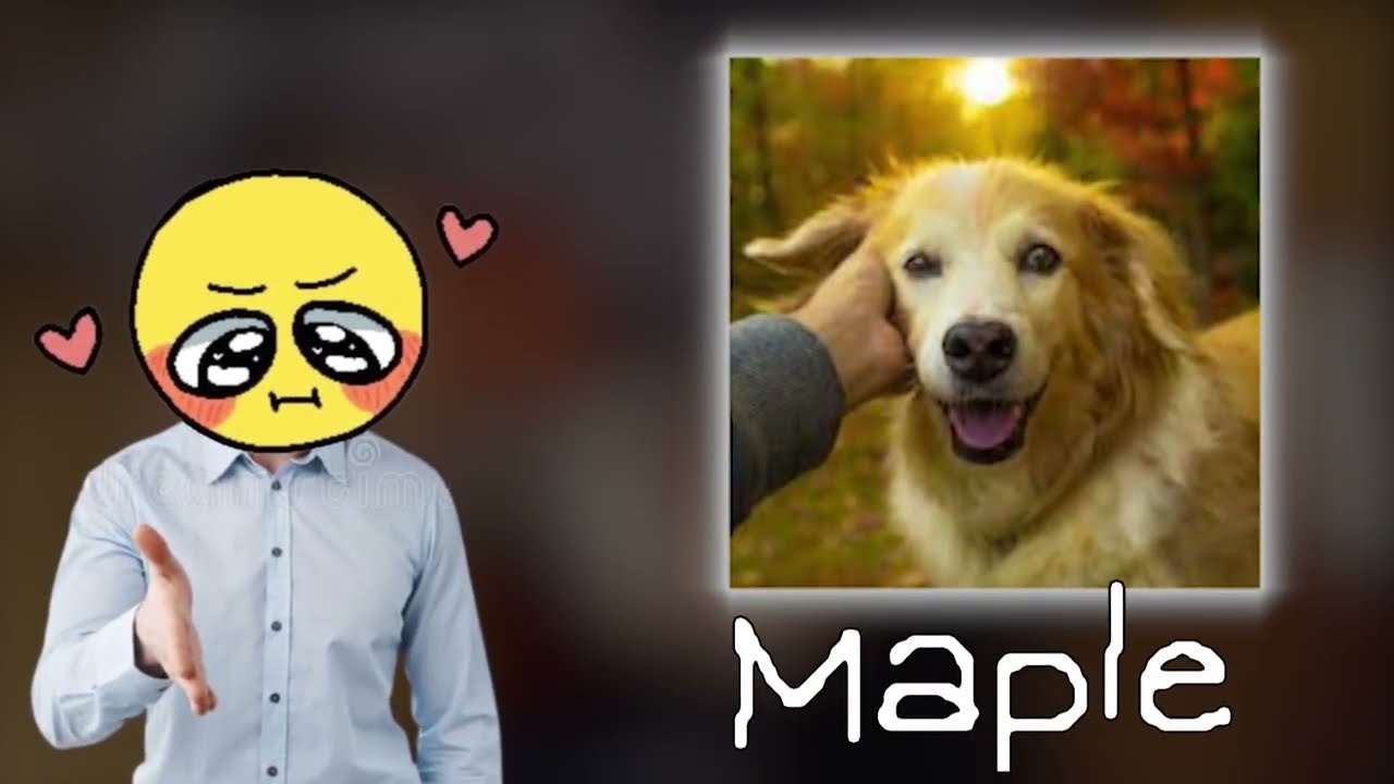 What Happened to the Acoustic Trench and Why Is It So Bittersweet