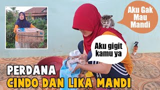 Memandikan Anak Kucing Yang Direscue Dari Kebun sekolah by Bubu Story The Cat 2,290 views 2 months ago 8 minutes, 12 seconds
