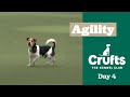 Rescue Dog Agility Crufts 2025 Rescue Dog Agility Crufts 2025