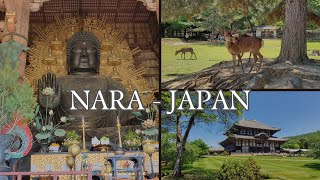 [4K] TODAIJI TEMPLE - GREATH BUDA HALL, WALKING IN NARA PARK, TEMPLES AND NARA CITY