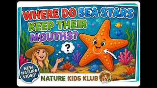 NatureKK Starfish