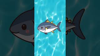 Why is a Tuna called the Chicken of the sea? |  Fun Children's Song from Refractive Music Kids  |