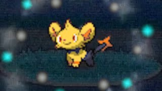 Strm-21 Holy Shinx A Shiny Shinx So Cute