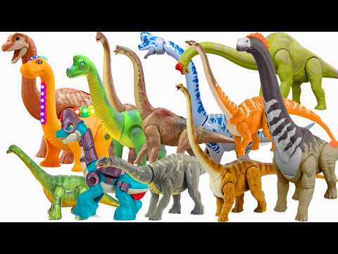 The Entire Collection of Giant Long-Necked Dinosaurs from Small to Large with Various Colors, Des...