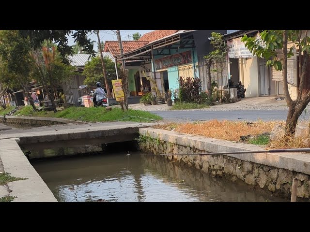 Kotomono angler sedang live mancing ikan betok di pinggir jalan raya