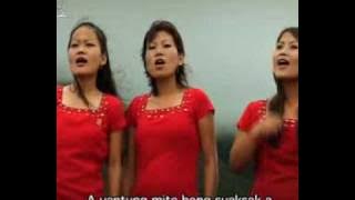 Dove Quartet Vantung kahlei