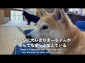 さっきまではしゃいでいたのに震えが止まらないもも Momo can't stop trembling
