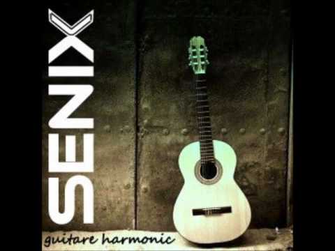 senix confusion senix confusion