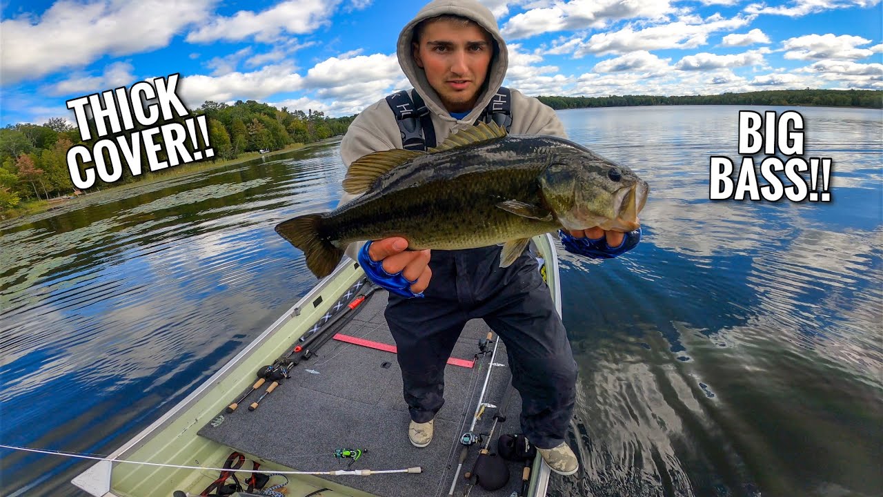 Bass Fishing THICK Cover in Early September for BIG Largemouth-The GRIND was REAL (9-6-2025)