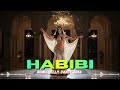 Middle Eastern Dance Party  Arabic Electro Festival Mix