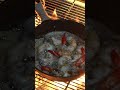 泰國蝦烤不熟，只好用炒的...＃海邊過日子 ＃泰國蝦 #海鮮 #fish