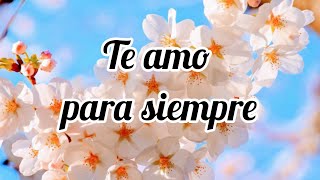 Te amo para siempre... carta de amor conmovedora screenshot 4