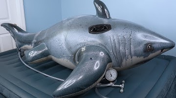 Over Inflating the Great White Shark Ride-On Pool Toy from Intex