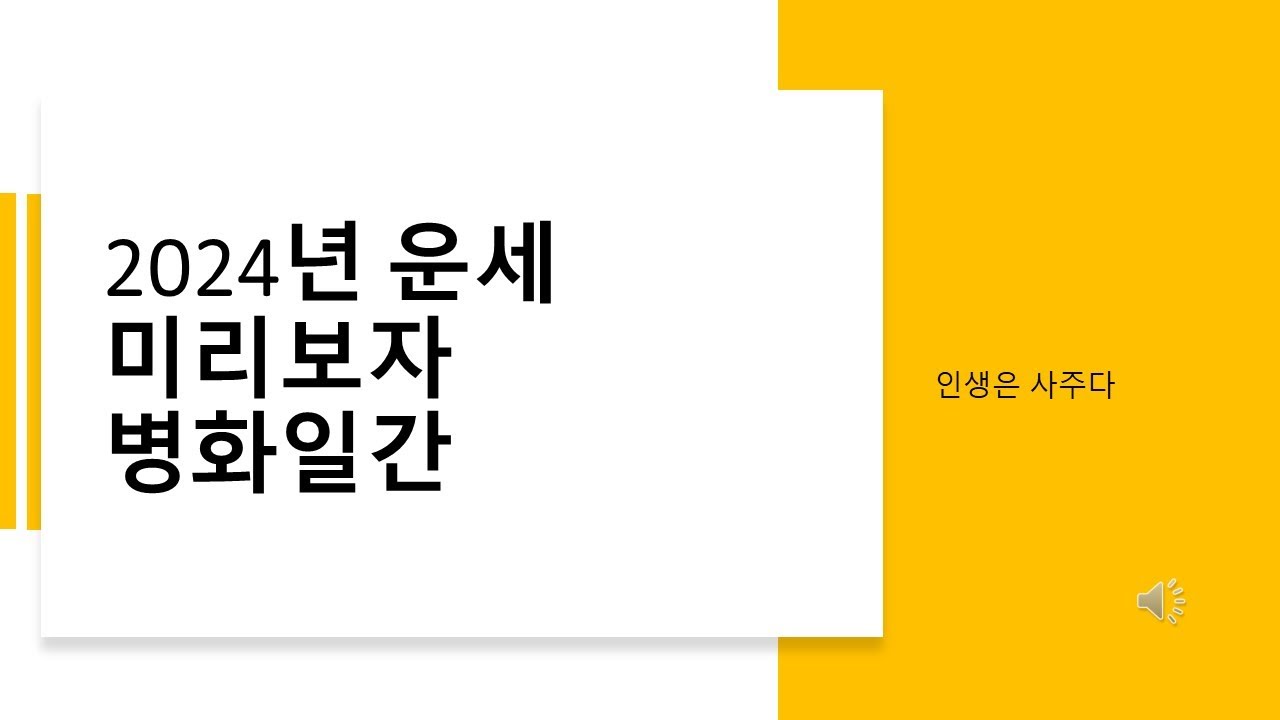 병화일간 2024년 갑진년 운세예상 - YouTube