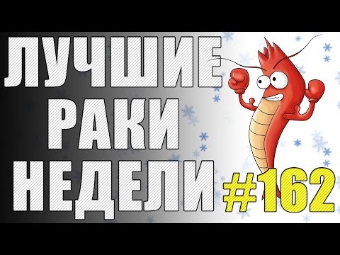 Видео: ЛРН выпуск №162. САМЫЙ СИЛЬНЫЙ ЛТ и МЕДВЕЖЬИ УСЛУГИ  [Лучшие Раки Недели]