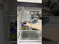 Kitchen Refresh: Maximize Your# Cabinet Space#feedshorts video shot
