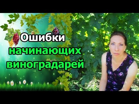 🍇#Виноград. Ошибки начинающих виноградарей.