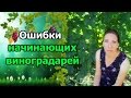 🍇#Виноград. Ошибки начинающих виноградарей.