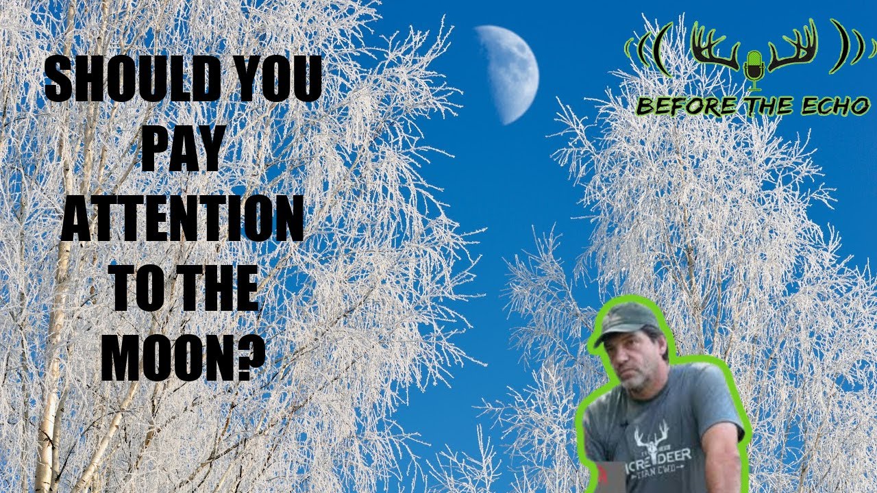 Should you worry about MOON PHASE as a deer hunter?